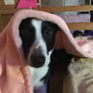 Meet your Posher, Madilyn